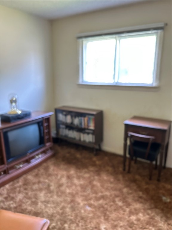 515 Stacia Drive