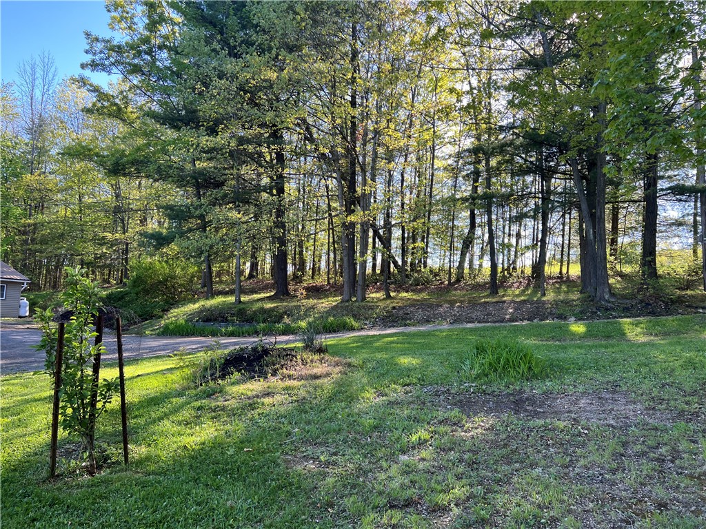 4600 College Avenue, Corning, New York image 35