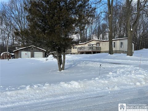 Homes For Sale - 308 Ericsson Road<br/> Poland, NY 14747