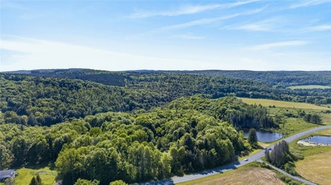 Vacant Land For Sale - L1 County Road 16<br/> Otselic, NY 13815