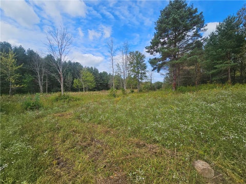 Photo for 121 Buffalo Road