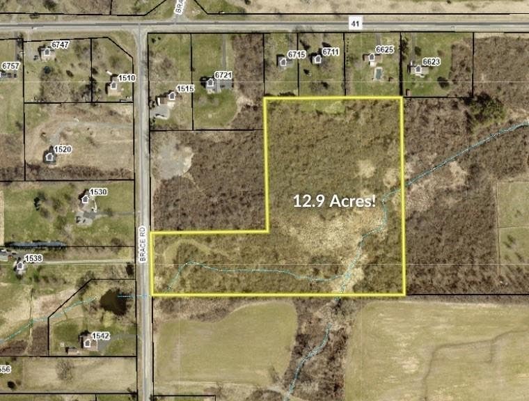 Photo of 0 Brace Road - 12.9 Acres, Victor, NY 14564 (MLS # R1704655)