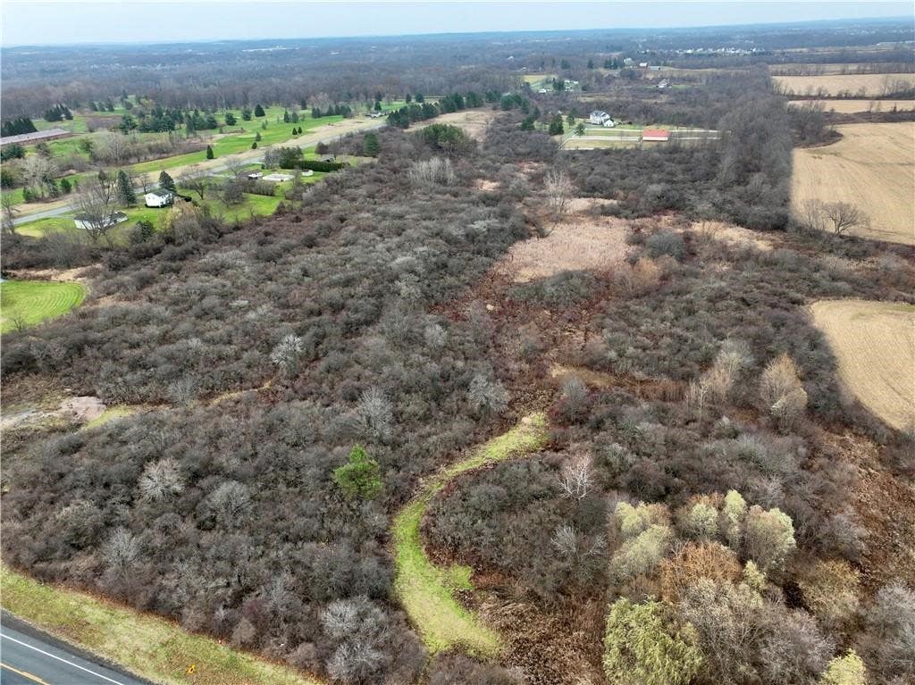 Photo of 0 Brace Road - 12.9 Acres, Victor, NY 14564 (MLS # R1704655)