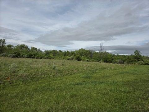 Vacant Land For Sale - North Road<br/> Geneseo, NY 14454