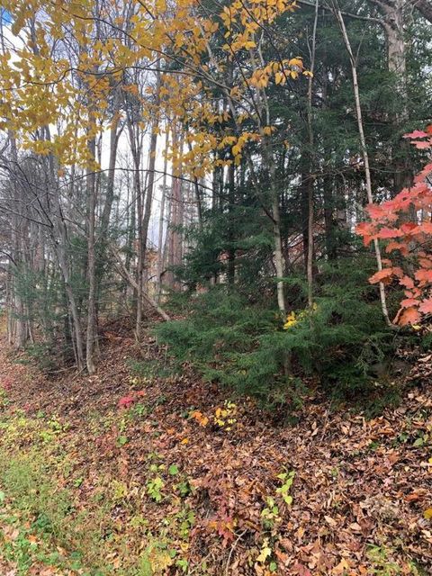 0 0 Townsend Road Watkins Glen NY 14891