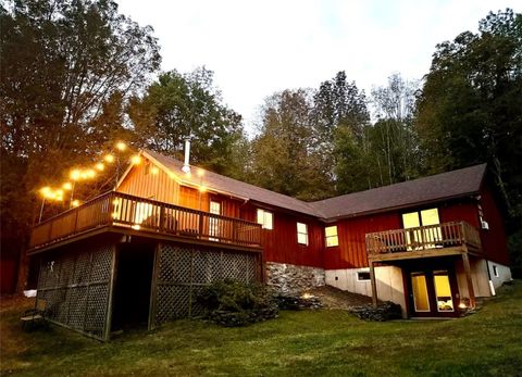 903 DIMMICK MTN ROAD Denver NY 12421