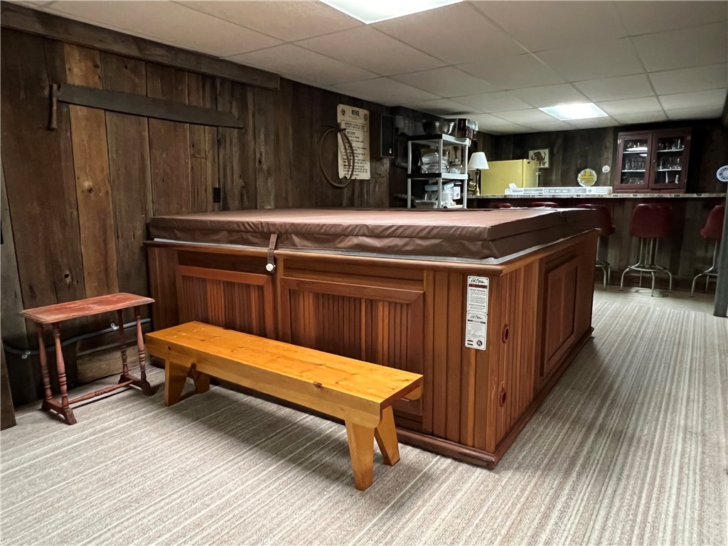 8584 Vieley Road, Campbell, New York image 38