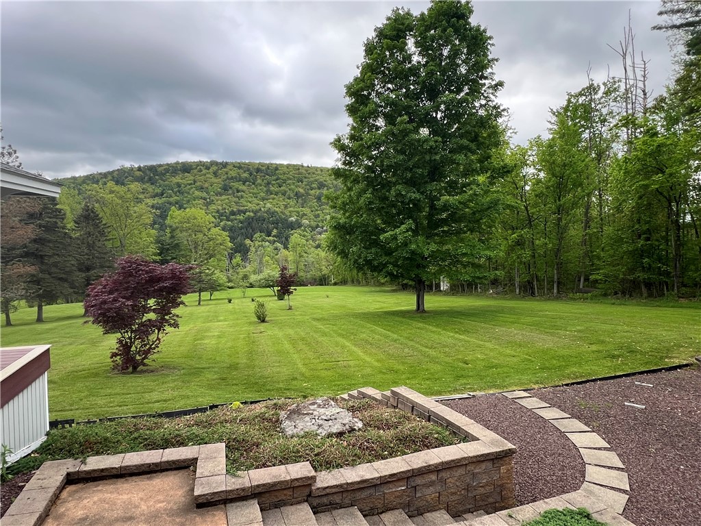 8584 Vieley Road, Campbell, New York image 50