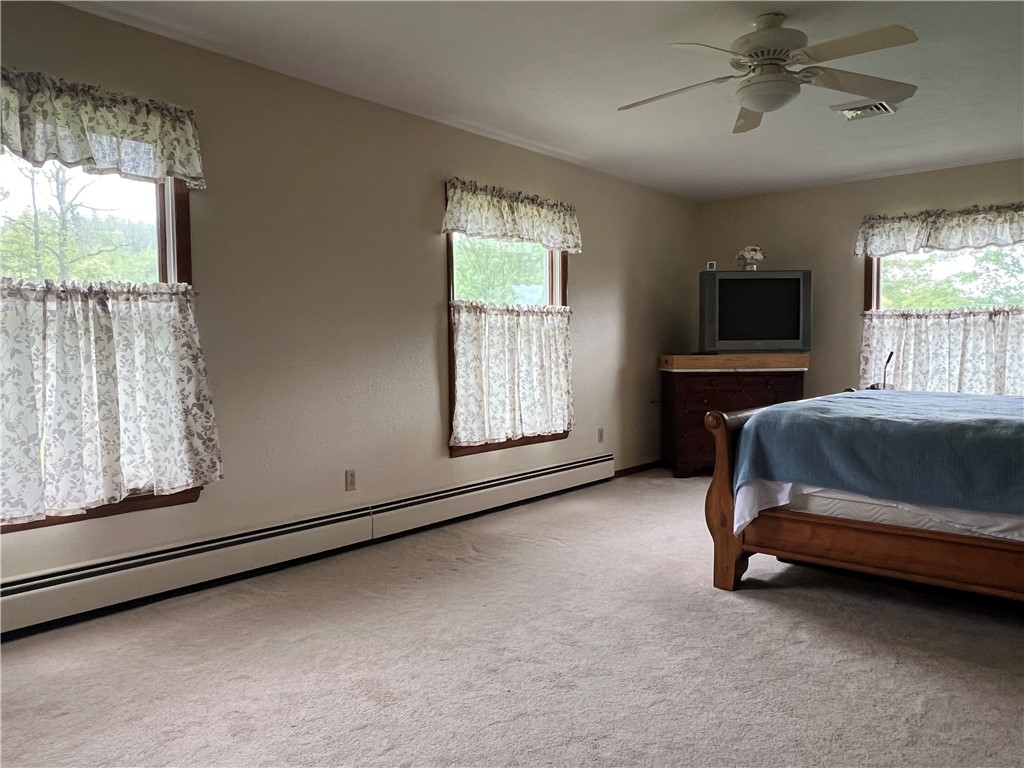 8584 Vieley Road, Campbell, New York image 22