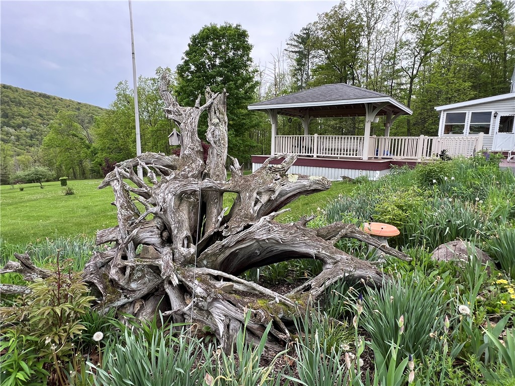8584 Vieley Road, Campbell, New York image 47