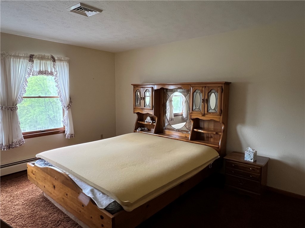 8584 Vieley Road, Campbell, New York image 26