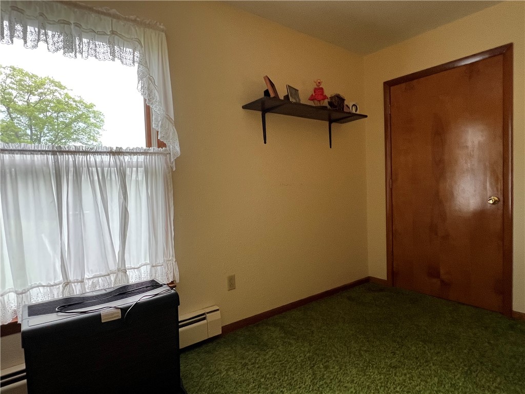8584 Vieley Road, Campbell, New York image 28