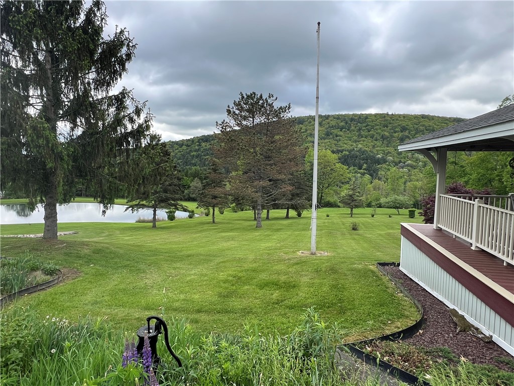8584 Vieley Road, Campbell, New York image 49