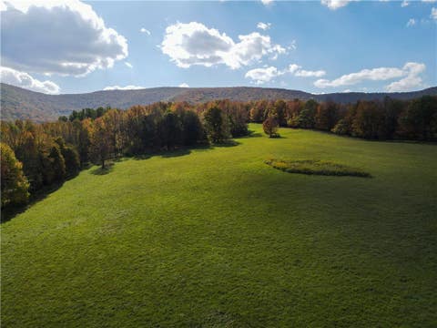 Vacant Land For Sale - 164 Ray Cottone Road<br/> Roxbury, NY 12474