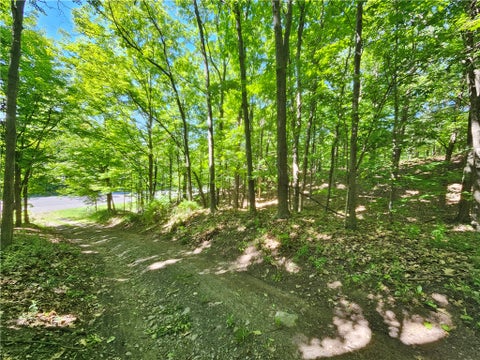 Photo for 613 East Lake Rd - Rt 54 Road