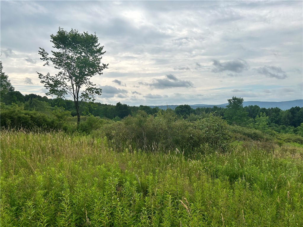 Sisson Hill Rd