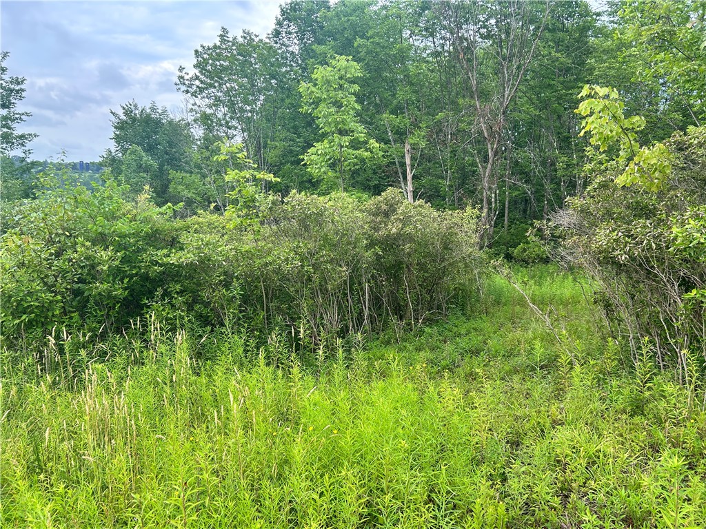 Sisson Hill Rd