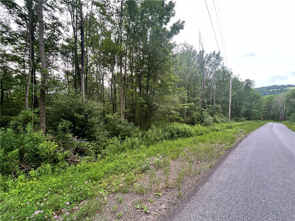Sisson Hill Rd