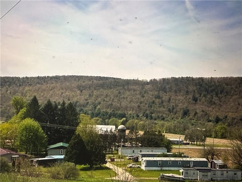Vacant Land For Sale - 117 Memory Lane<br/> North Norwich, NY 13460