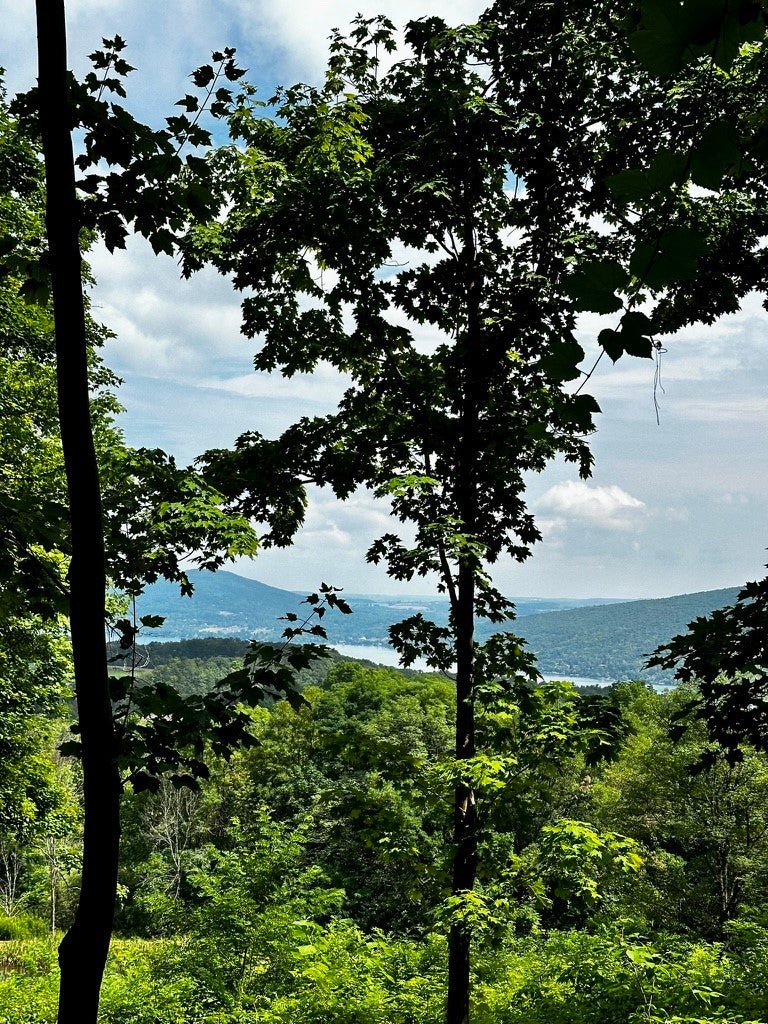 6678 County Road 12