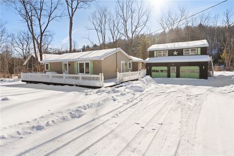 Homes For Sale - 8823 Eelpot Road<br/> Ontario County, Naples, NY 14512