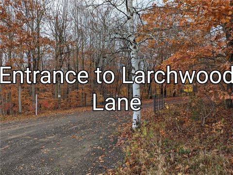  in Laurens NY 214 Larchwood Lane.jpg