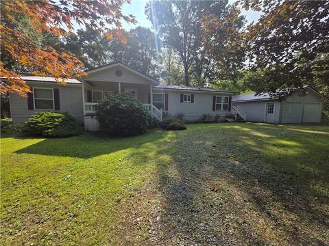 117 Mitchell Hollow Road Odessa NY 14869