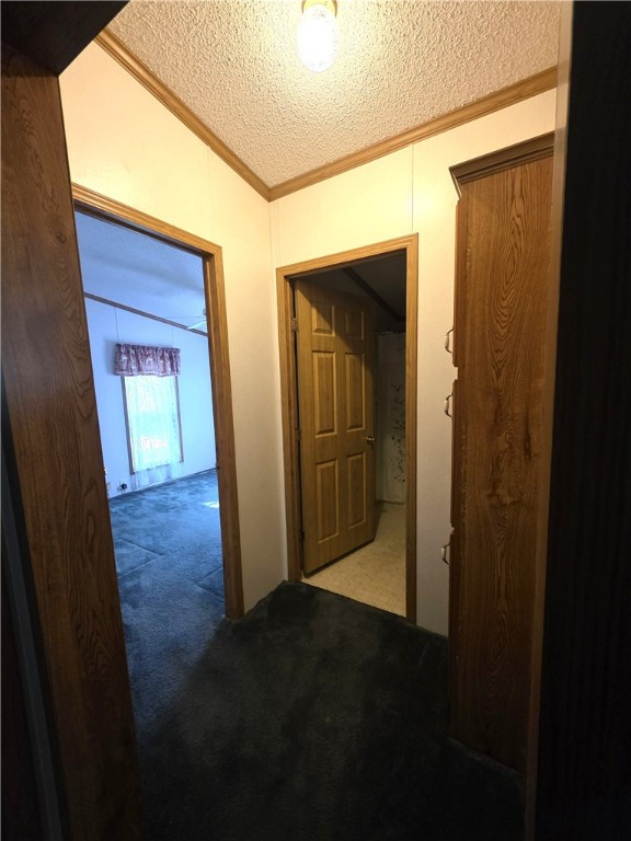 117 Mitchell Hollow Road