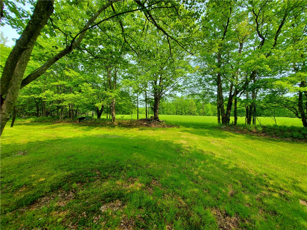 656 Mcmullen Road, Masonville, New York image 44
