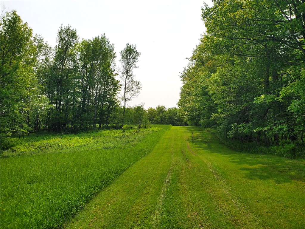 656 Mcmullen Road, Masonville, New York image 48