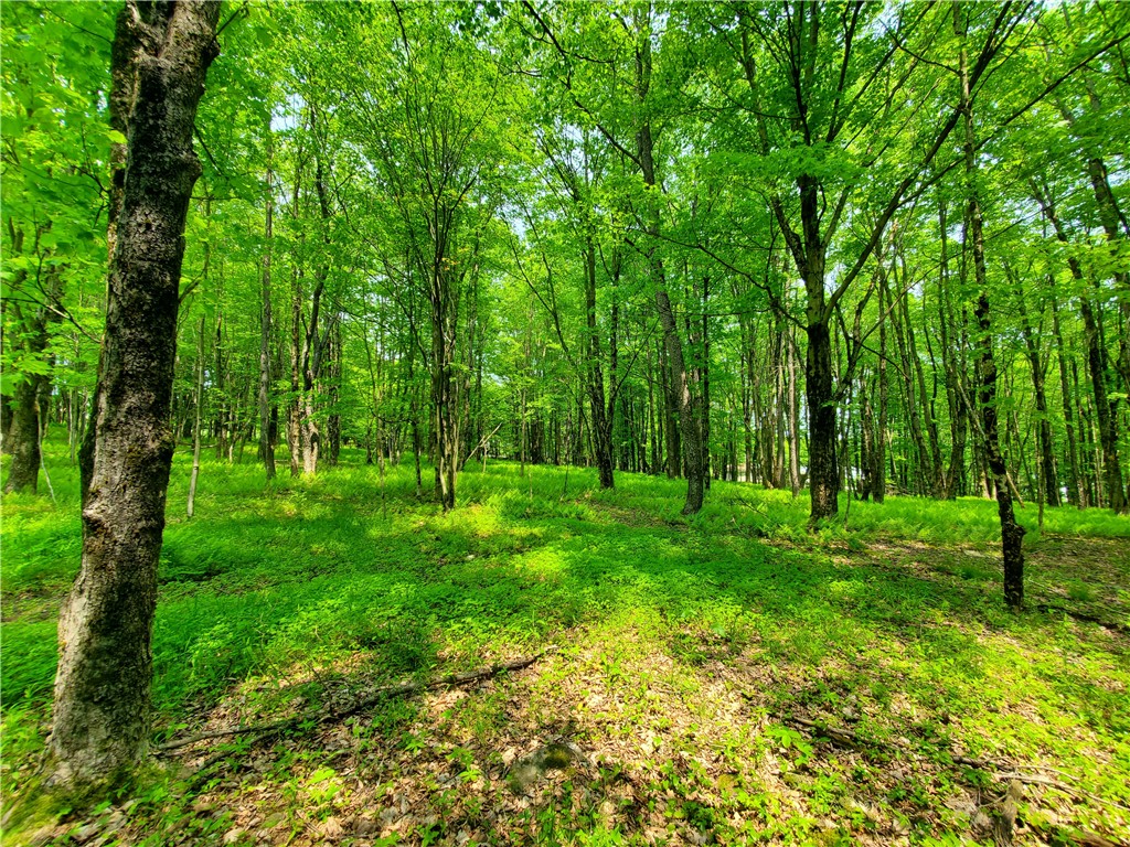 656 Mcmullen Road, Masonville, New York image 31