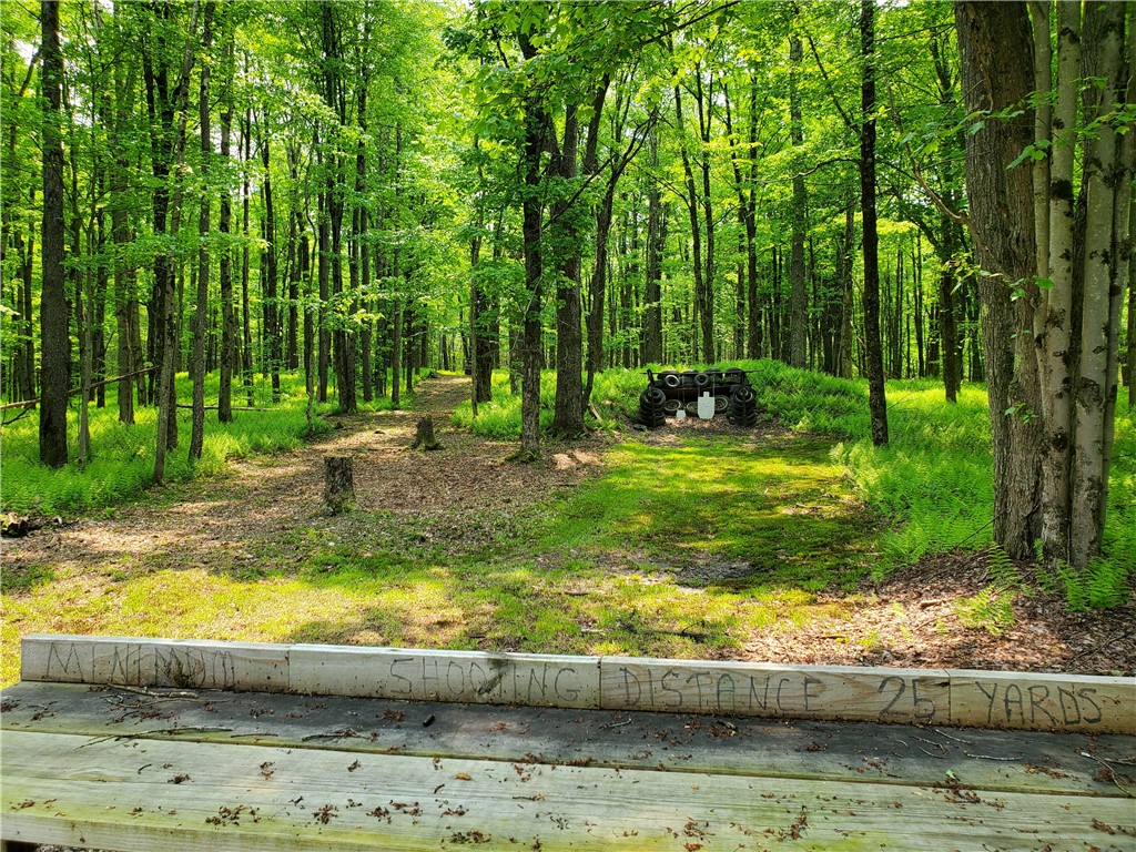 656 Mcmullen Road, Masonville, New York image 41