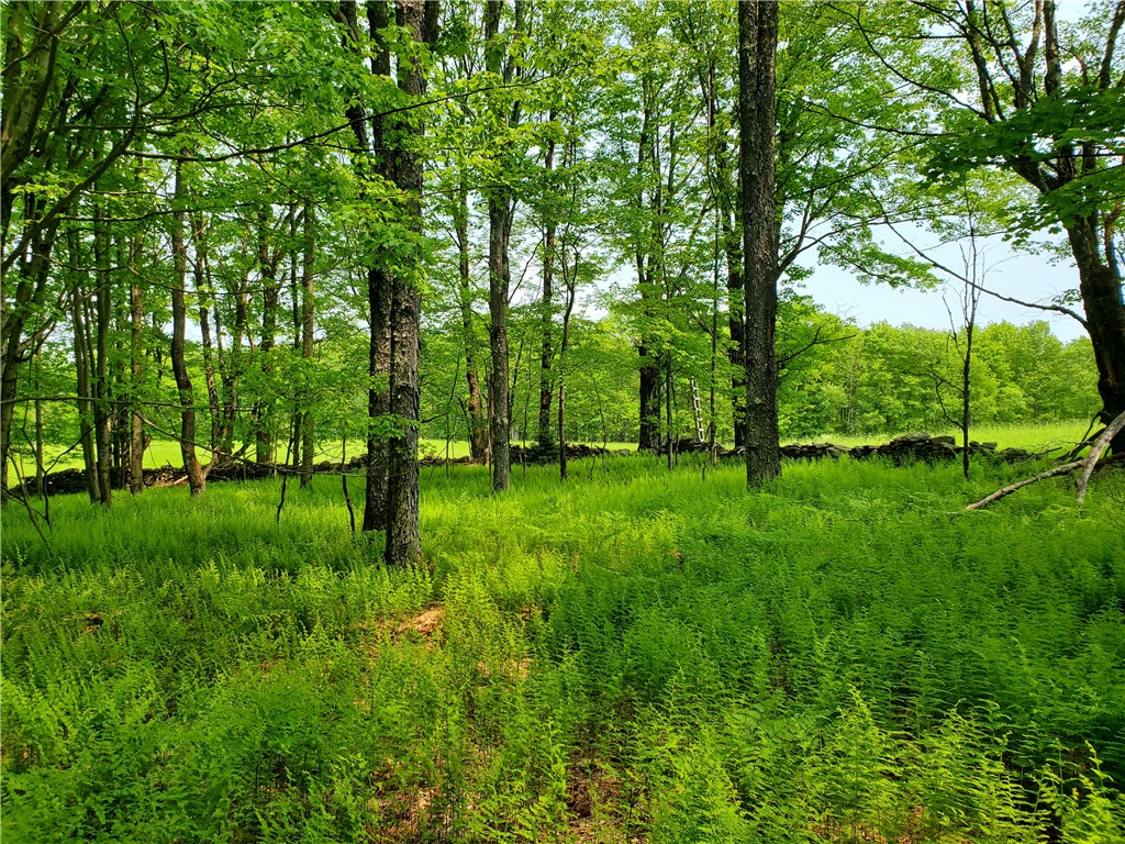 656 Mcmullen Road, Masonville, New York image 37