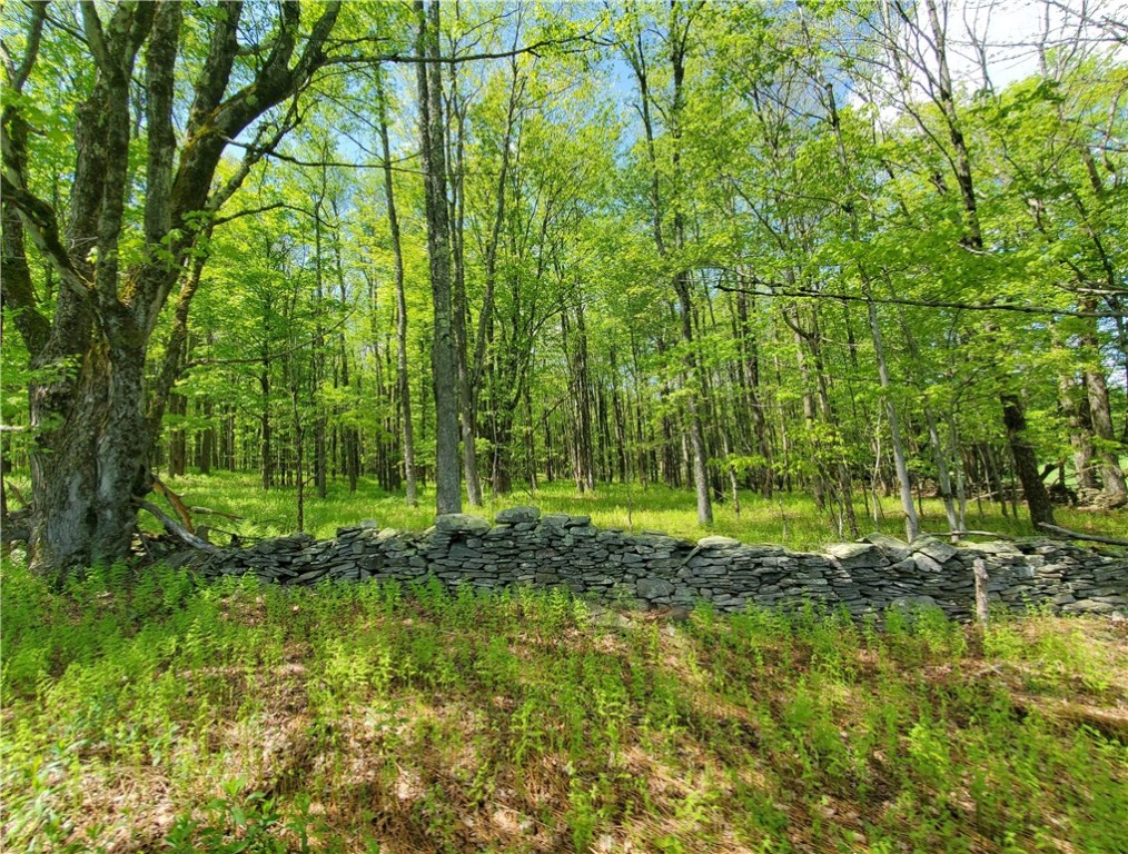 656 Mcmullen Road, Masonville, New York image 39