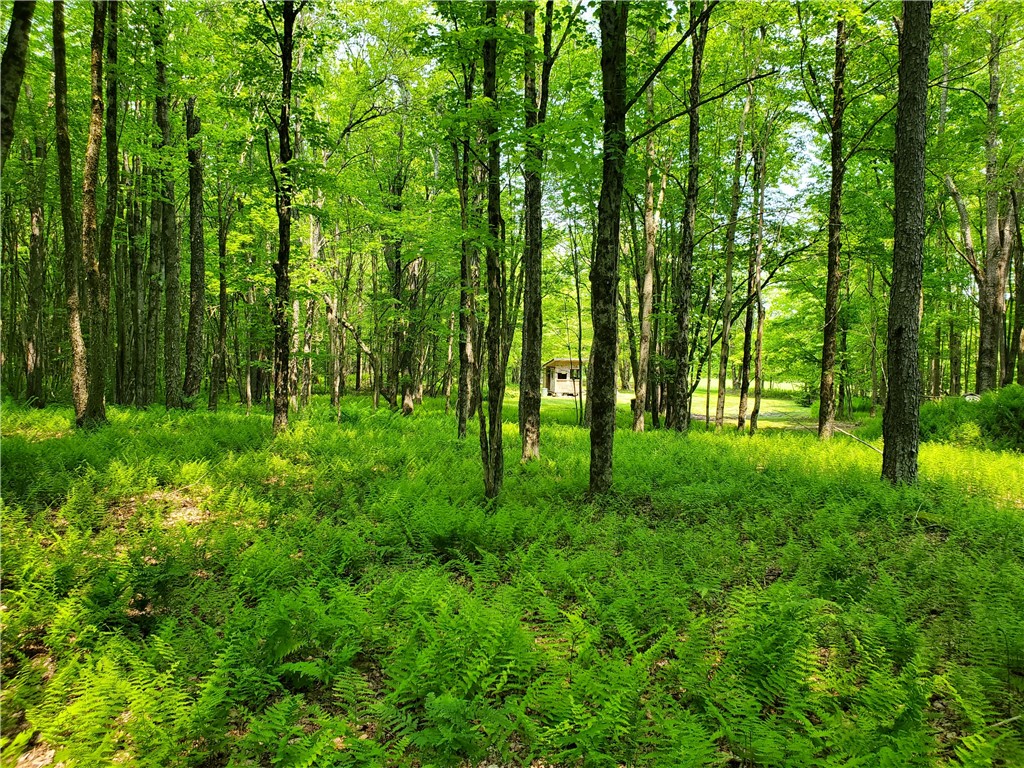 656 Mcmullen Road, Masonville, New York image 35