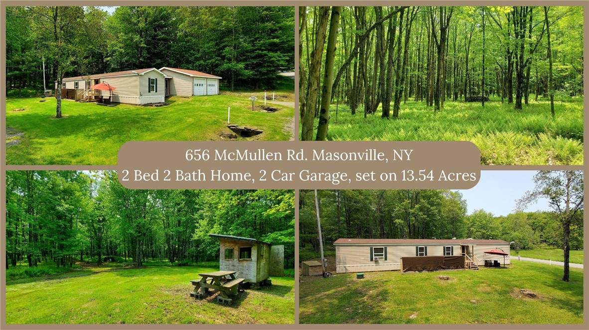 656 Mcmullen Road, Masonville, New York image 1