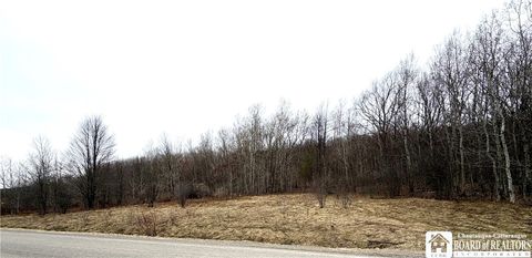 Vacant Land For Sale - 8528 Jackson Hill Road<br/> Allegany County, Cuba, NY 14739