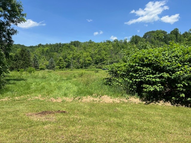 Watkins Road