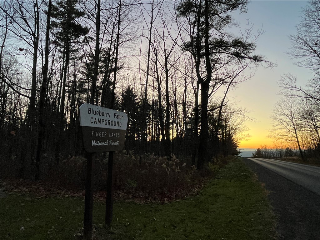 Picnic Area Road, Hector, New York image 19