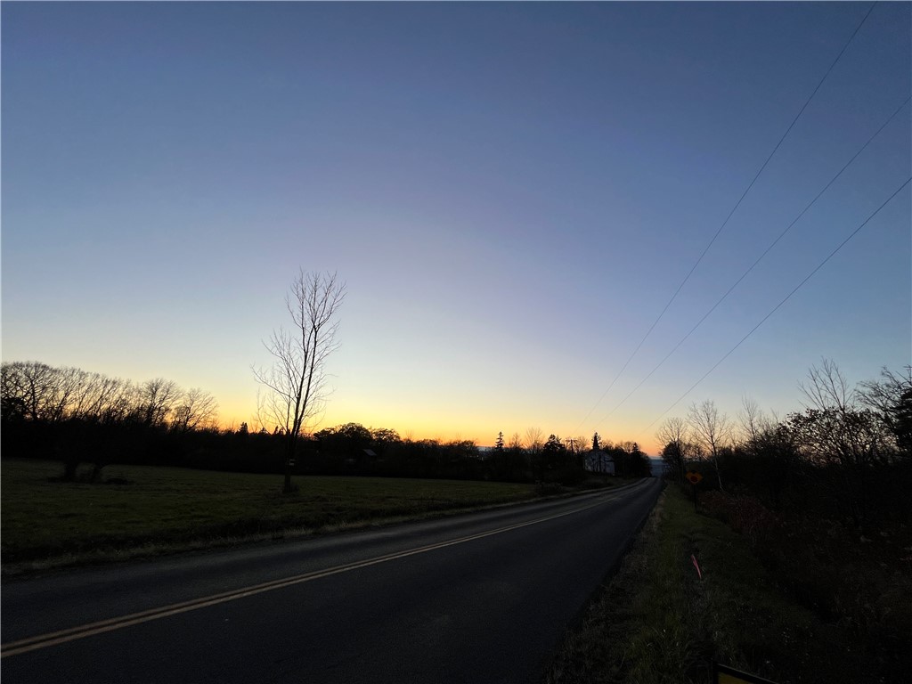 Picnic Area Road, Hector, New York image 4