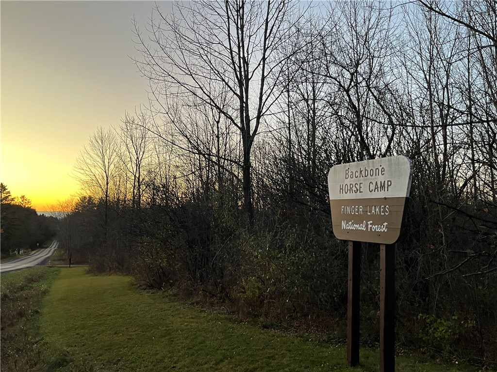 Picnic Area Road, Hector, New York image 18