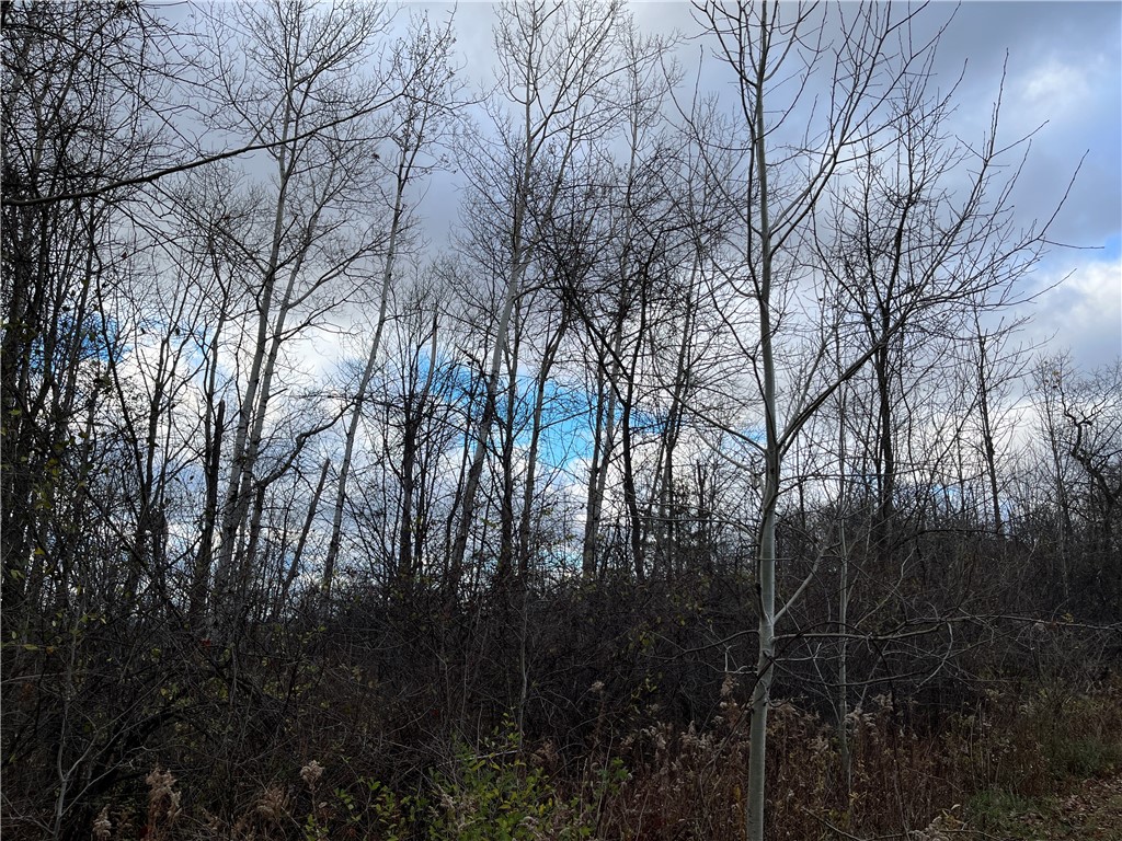 Picnic Area Road, Hector, New York image 9