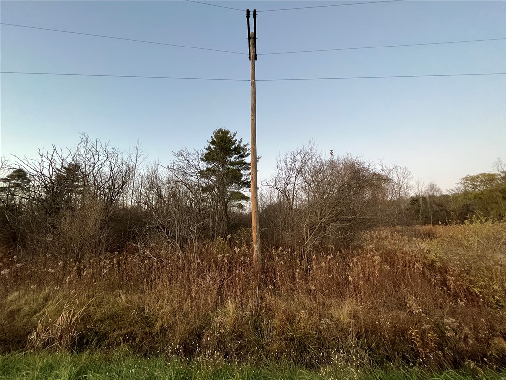 Picnic Area Road, Hector, New York image 2