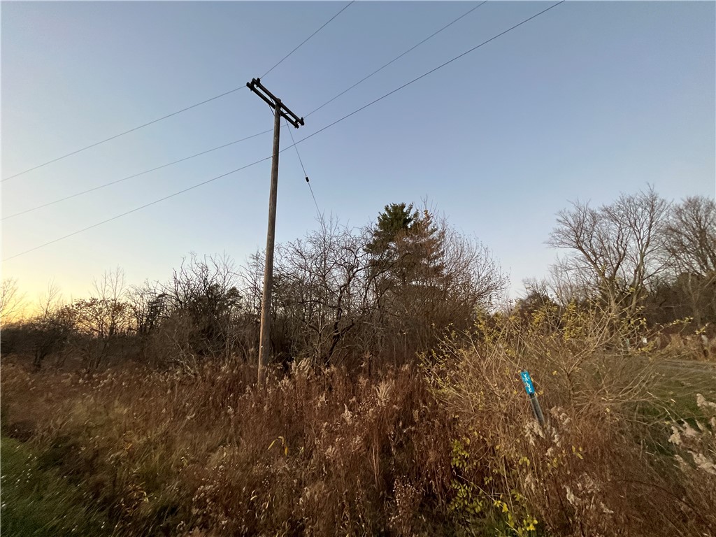 Picnic Area Road, Hector, New York image 3