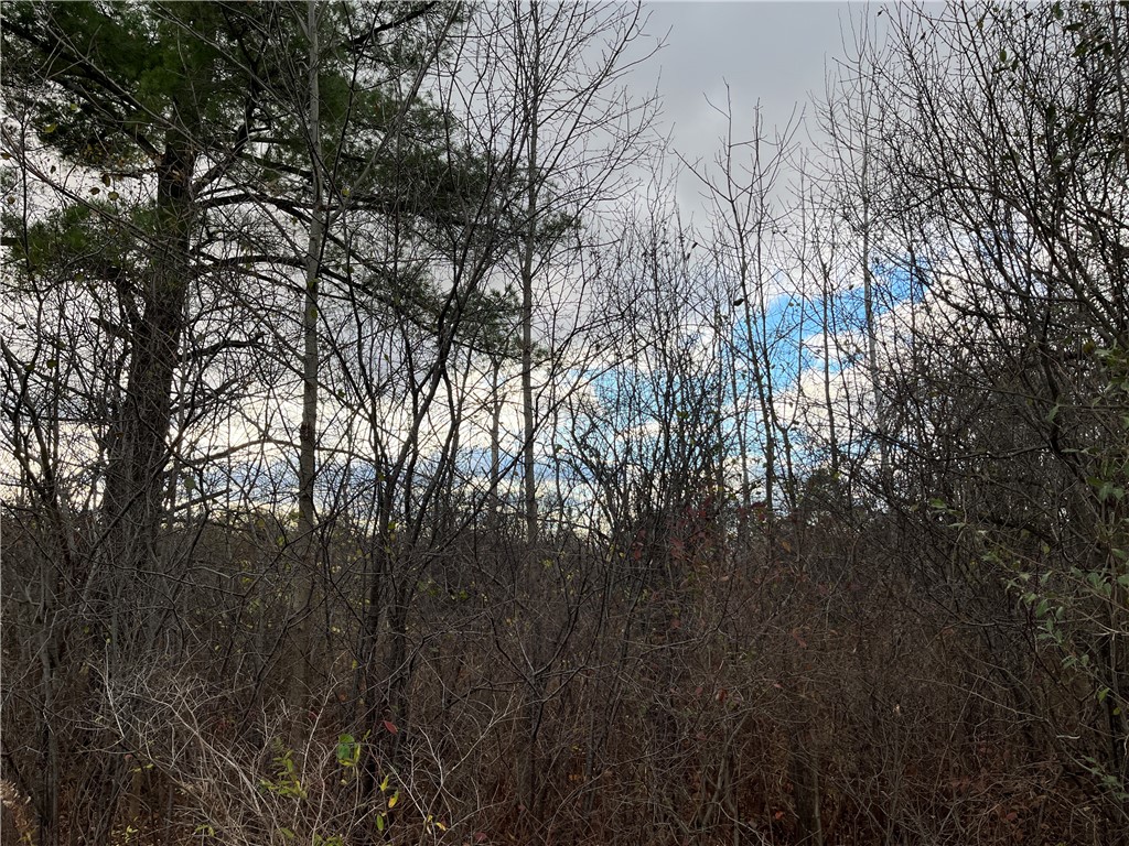 Picnic Area Road, Hector, New York image 8