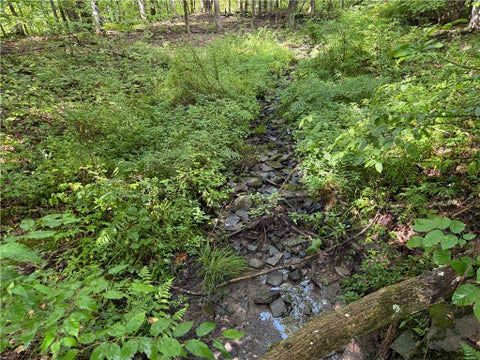 Tiny photo for 201 Oak Hill Road, Baldwin, NY 14861 (MLS # R1714183)