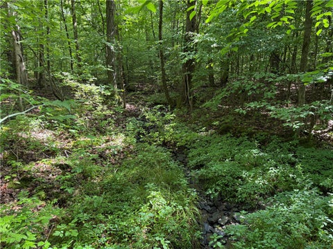 Tiny photo for 201 Oak Hill Road, Baldwin, NY 14861 (MLS # R1714183)