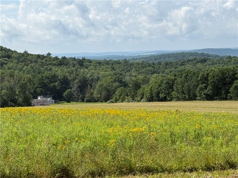 Tiny photo for 201 Oak Hill Road, Baldwin, NY 14861 (MLS # R1714183)