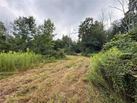 Tiny photo for 201 Oak Hill Road, Baldwin, NY 14861 (MLS # R1714183)