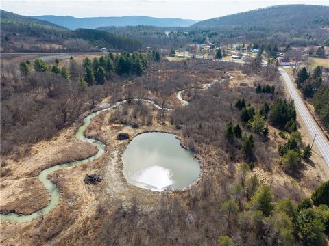 Vacant Land For Sale - 00 County Route 13<br/> Steuben County, Bath, NY 14810